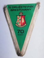 /album/brestovany/brestovany-tj-druzstevnik-70-29-jpg/